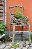 Wreath woven from vine tendrils on rustic chair made from rough branches