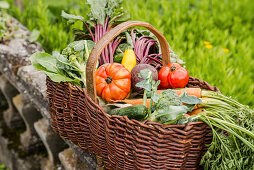 A basket of fresh vegetables on a stone wall