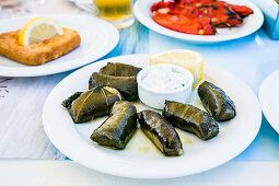 Greek Dolmades served with tzatziki sauce