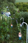 Candle lanterns hung from crooks lining overgrown garden path