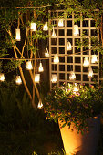 Arrangement of lanterns made from wire and tealights in garden