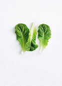 Crisp, bright-green lettuce
