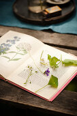 Essbare Blumen und Blätter auf Buch