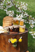 Honey and bee pollen in glass jars, and a flowering cherry branch