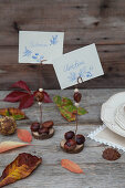 Place card holders handmade from horse chestnuts