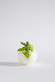 Gefülltes Ei mit grünem Spargel, Parmesansauce und Basilikum