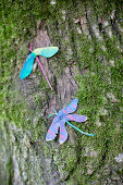 Dragonflies made from painted sycamore seeds on mossy tree