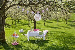 Gedeckter Tisch, Lampion und Getränketisch unter blühendem Kirschbaum im Garten