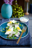 Spring salad with eggs, apples, radishes and micro greens