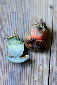 A halved dotted stem bolete