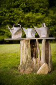 Three battered old watering cans in garden