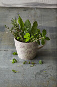 Mixed fresh herbs in a porcelain cup
