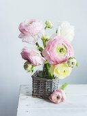 Bouquet of ranunculus in vase