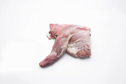 Shoulder of rabbit with foreleg on a white surface