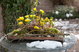 Winter warmers on a patio table as a harbinger of spring