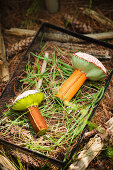 Genähte Pilze aus Filz und Stoff in einem Metallkörbchen mit Gras