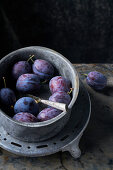 Pflaumen (Sorte: Bleue de Belgique) in Vintage Metallschüssel