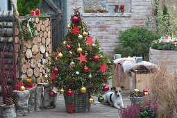 Weihnachtsbaum im Korb mit Birkenstämmen