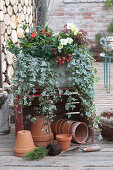 Plant Box With Winter-Proof Shrubs And Perennials