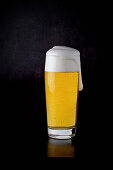 A glass of lager against a black background