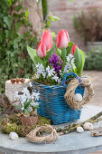 Tulip, Blue Oysters And Hyacinth In The Basket