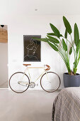 Fahrrad und Baumstrelitzie im schlichten Schlafzimmer