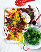Salad with beetroot and golden beets, tomatoes, mozzarella and herbs