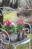 Frühlings-Arrangement mit roten Tulpen