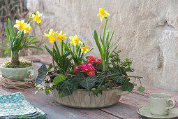 Spring Cup With Daffodils And Primroses