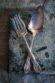 A silver dessert fork and a spoon