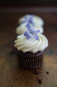 Mini chocolate cupcakes with cream topping and purple flowers