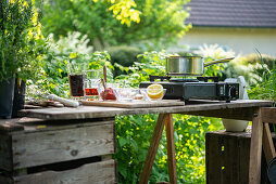 Ingredients for homemade barbeque sauce on a garden table