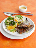 Smoked Mackerel with orange, spinach and fennel salad