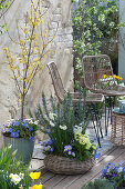 Terrace arrangement with rosemary and spring flowers in a basket