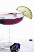 Blackberry cocktail with flower
