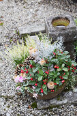 Arrangement of Gaultheria, heather, pine cones, poppy seedheads, cyclamen and silver ragweed in bowl on grave