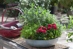 Zinc Bowl With Herbs And A Thousand Beautiful