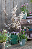 Spring Balcony With Spring Bloomers And Ornamental Cherry