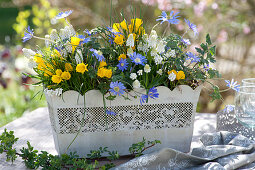 Spring Box With Daffodils, Anemones And Grape Hyacinths