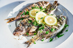 Grilled fish with herbs and lemons