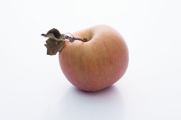 An Arwedille apple