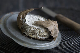 Blue cheese with oak leaves