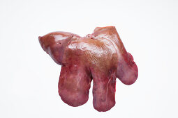 Pork liver