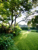 Lawn under trees in an elegant landscaped garden