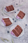 Four pieces of chocolate and blueberry cake