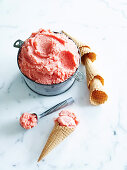 Salted watermelon sherbet