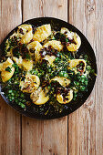 Broccolini, mushroom and ricotta conchiglie