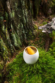 An egg with dried morel mushrooms and whitefish caviar, restaurant 'Auener Hof', Italy, Head Chef Heinrich Schneider