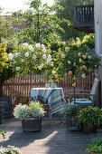 Terrace With Stem Roses In White And Yellow