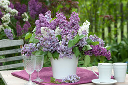 Lilac Bouquet Of 4 Different Varieties